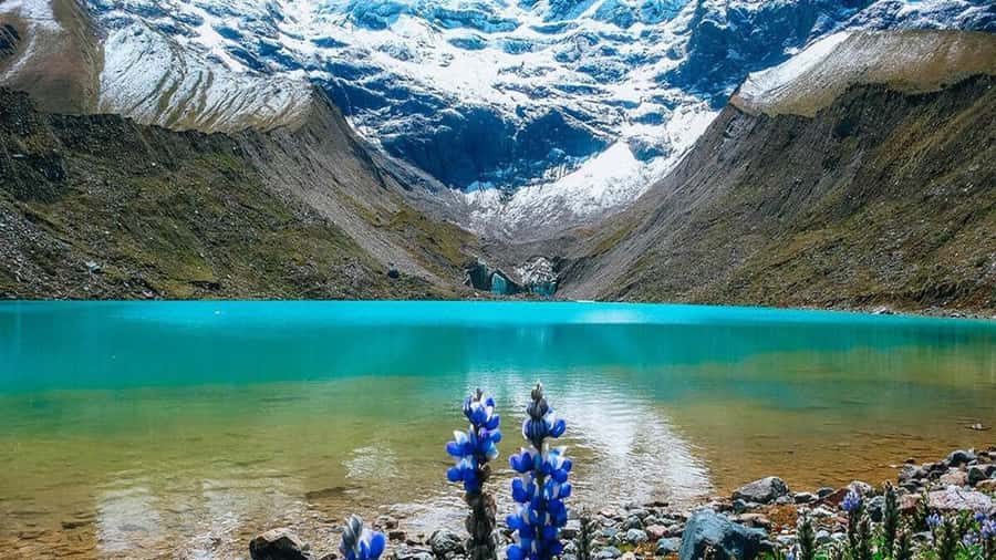 1 day excursion to the Humantay Lake from Cusco. - Key points to know before booking