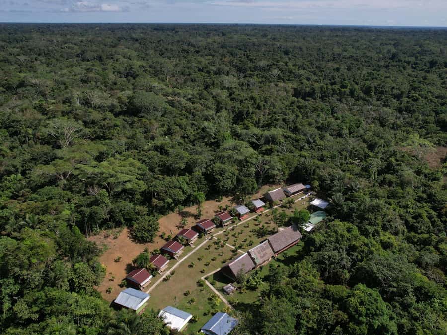 2-Day All Inclusive Guided Jungle Tour from Iquitos - Key points to know before booking