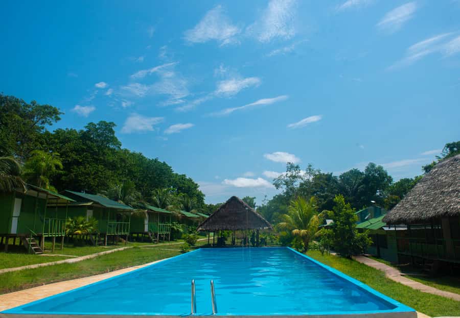 2-Day All Inclusive Guided Jungle Tour from Iquitos - Food, fishing, and a first taste of camp life