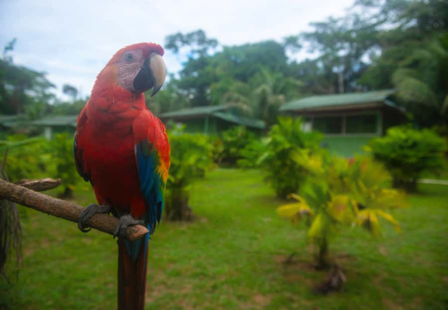 2-Day All Inclusive Guided Jungle Tour from Iquitos - A nocturnal hike after sunset