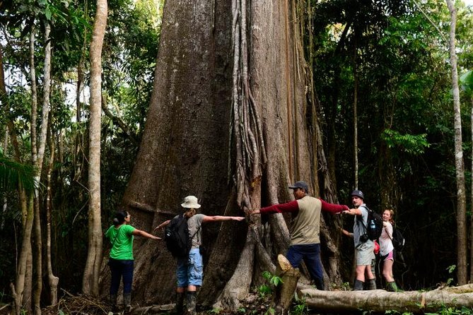2-Day All Inclusive Guided Jungle Tour from Iquitos at Maniti Eco-Lodge - Sunrise, giant ceiba trees, and a second jungle walk