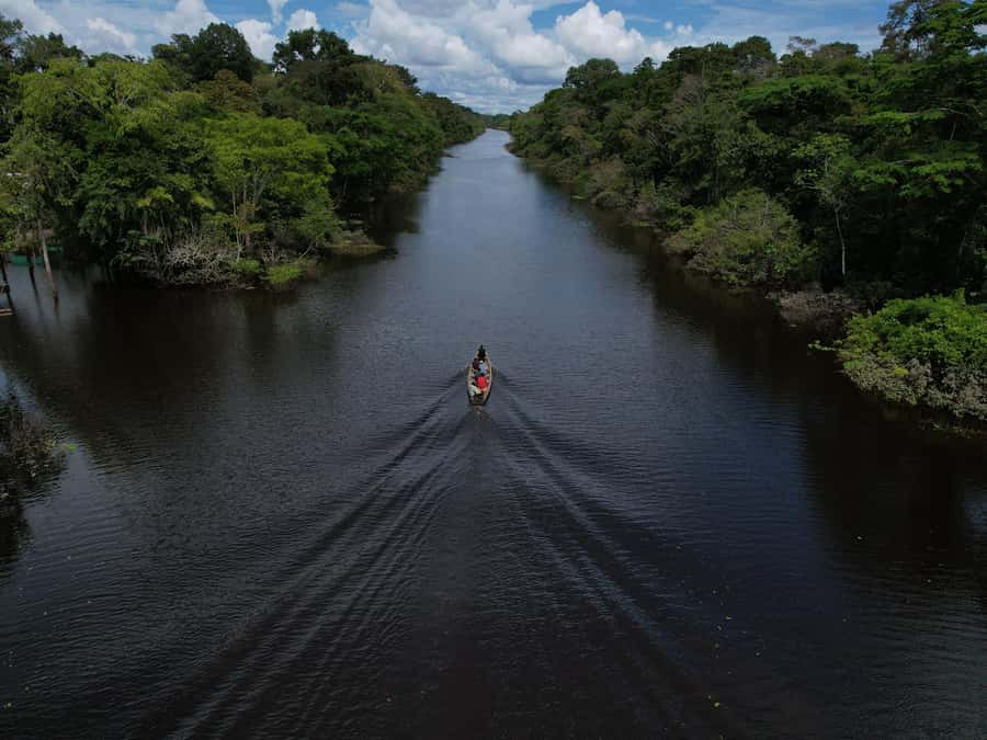 2-Day All Inclusive Guided Jungle Tour from Iquitos - Monkey Island and the question of animal contact