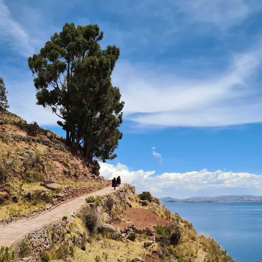 2-Day Amantani Island homestay overnight Tour from Puno - Dinner, music, and a night at island altitude