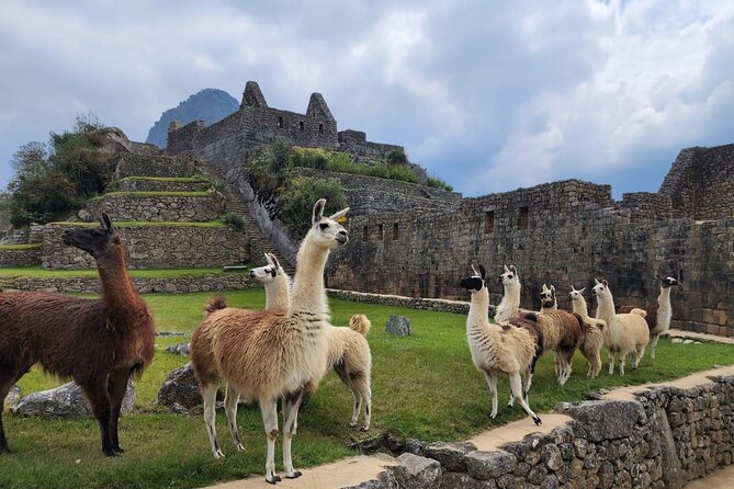 2 Day - Inca Trail to Machu Picchu - Wiñay Wayna, the day’s finest stop