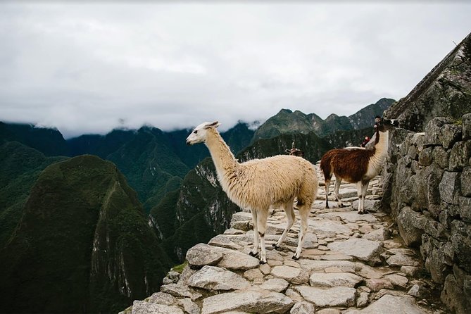 2-Day Short Inca Trail to Machu Picchu - Day two: an early walk into Machu Picchu