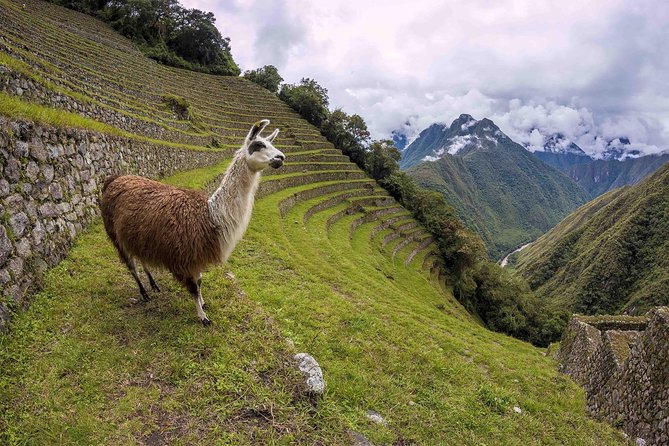 2-Day Short Inca Trail to Machu Picchu - Fitness, altitude, and what to pack