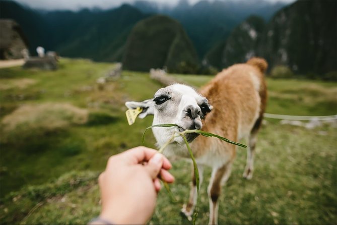 2-Day Short Inca Trail to Machu Picchu - Timing, return transport, and small costs