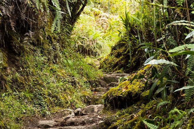 2 Day - Short Inca Trail to Machu Picchu - Group Service - Trains, buses, and the return to Cusco