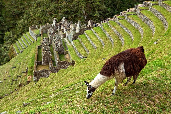 2 Day - Short Inca trail to Machu Picchu - Private Services - What the $796.11 Price Really Covers