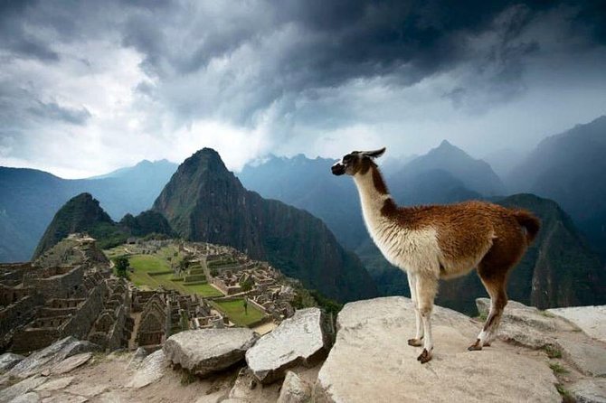 2-Day Short Inca Trail to Machu Picchu - Day one: train to Km 104, then Wiñay Wayna