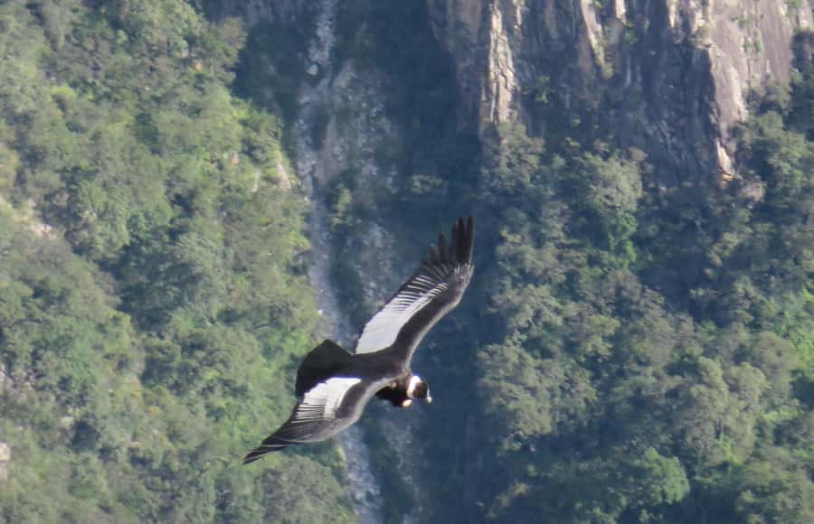 2-Day Tour Colca Canyon in Arequipa with end in Puno - Leaving Arequipa for Salinas and Aguada Blanca