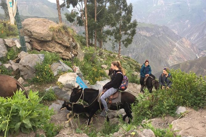 2 Day Trek Including Transfer to Puno / Colca Canyon - Chacapi hot springs and lunch in Chivay