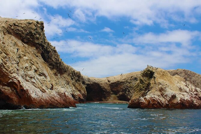 2-Hour Tour to the Ballestas Islands from Puerto San Martín - Who will get the most from this tour