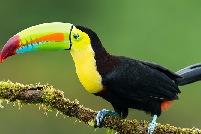 3-Day All Inclusive Guided Jungle Tour from Iquitos at Maniti Eco-Lodge - Leaving Iquitos for the Amazon River