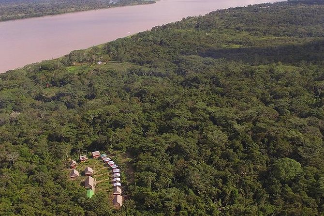 3-Day All Inclusive Guided Jungle Tour from Iquitos at Maniti Eco-Lodge - The final jungle hike and return to town