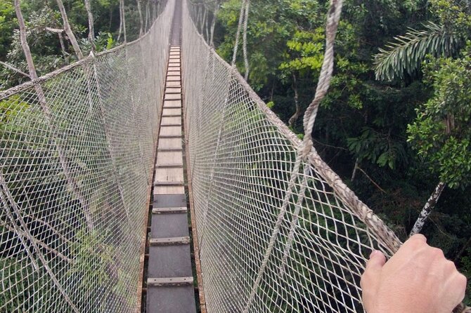 3-Day All Inclusive Guided Jungle Tour from Iquitos at Maniti Eco-Lodge - Guides, group size, and the feel of the trip