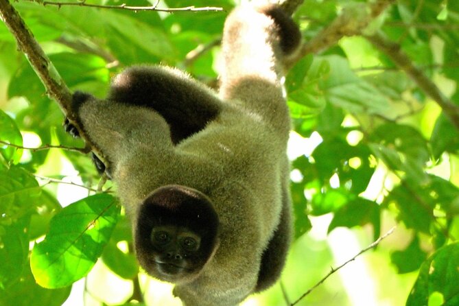3-Day Eco-Sustainable Private Tour Manu National Park - Key points to know before booking