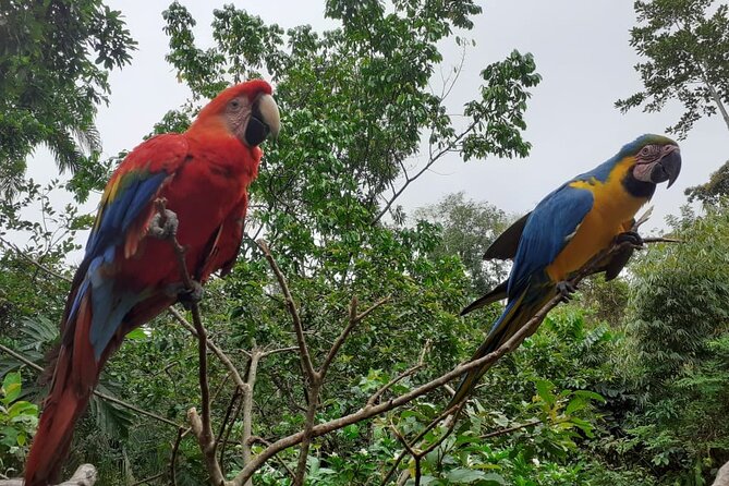 3-Day Eco-Sustainable Private Tour Manu National Park - What the $389 price really covers