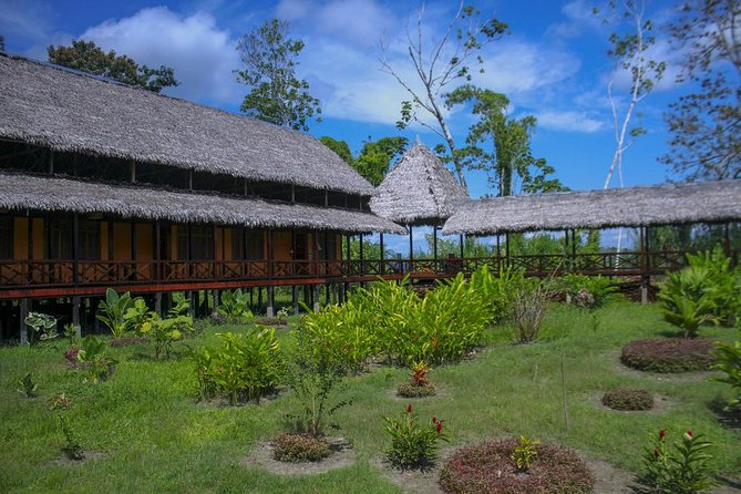 3-Day Iquitos Amazon Jungle Adventure at Heliconia Lodge - Day two: birds, dolphins, fishing, and giant water lilies