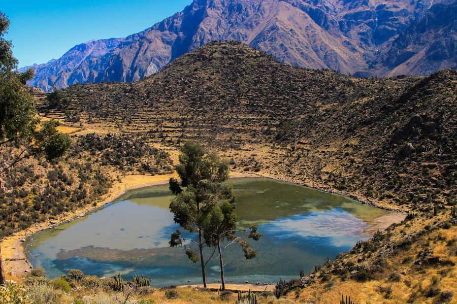 3-day trek to the Colca Canyon from Arequipa ending in Puno - Why this route makes sense for a Colca Canyon visit