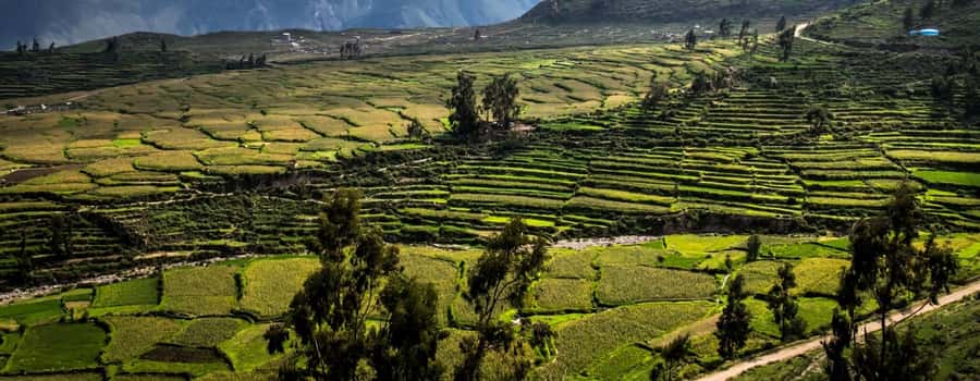 3-day trek to the Colca Canyon from Arequipa ending in Puno - Should you book the three-day Colca Canyon trek?
