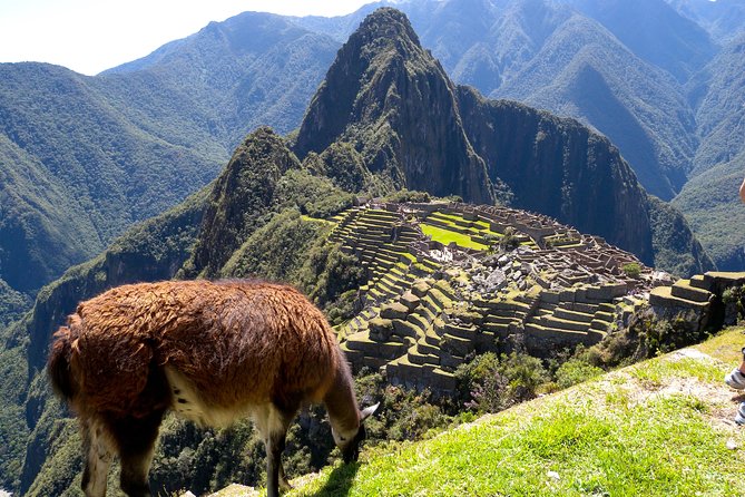 4 Day - Machu Picchu Special - Group Service - Day 3: Machu Picchu before breakfast crowds build