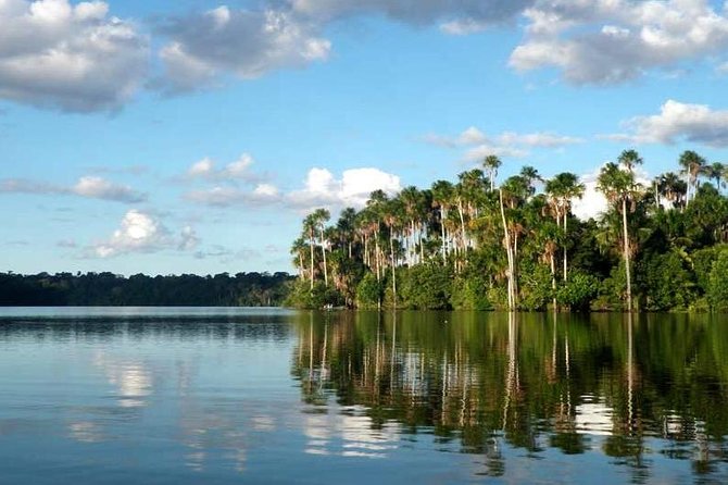 4 Day Tambopata Amazon Wildlife & Canopy Experience - Reaching the lodge by the Madre de Dios River