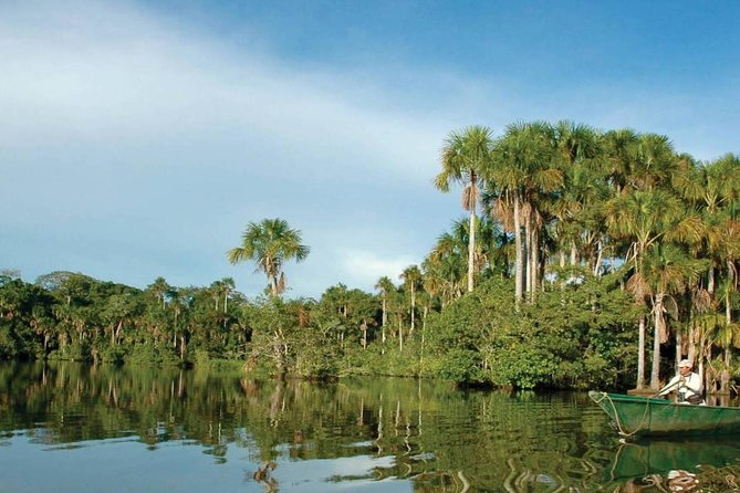4 Day Tambopata Amazon Wildlife & Canopy Experience - Day two: the canopy and the long walk to Sandoval Lake