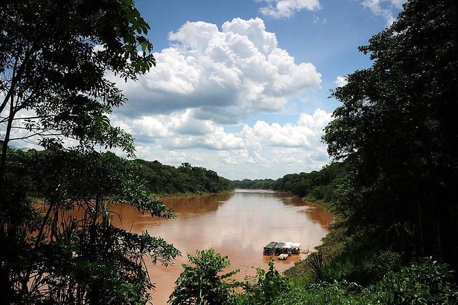 4 Day Tambopata Amazon Wildlife & Canopy Experience - What the $585 price really covers