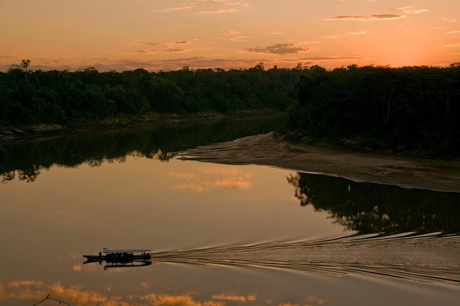 4 Day Tambopata Amazon Wildlife & Canopy Experience - The guide can make or break the four days