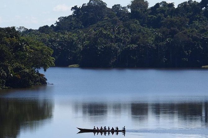 4 Day Tambopata Amazon Wildlife & Canopy Experience - Rustic lodging and the practical trade-offs