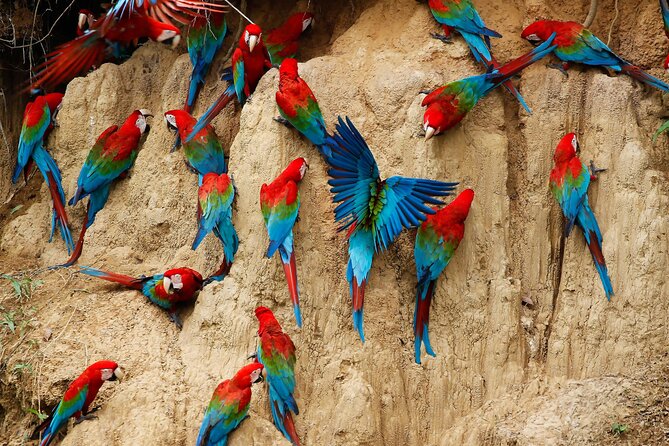 4 Day Tambopata Jungle Tour with Local Guide - Is $360 a fair price?