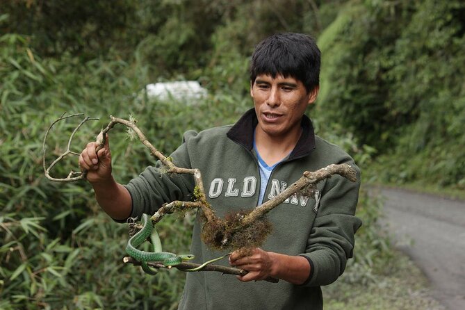 4 Day Tour to the Manu National Park - From Cusco to the cloud forest on day one
