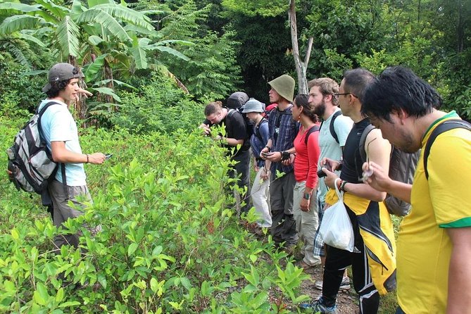 4 Days Inca Jungle to Machu Picchu Standard - Day 3: Zipline, hydroelectric station, and the rail-side walk