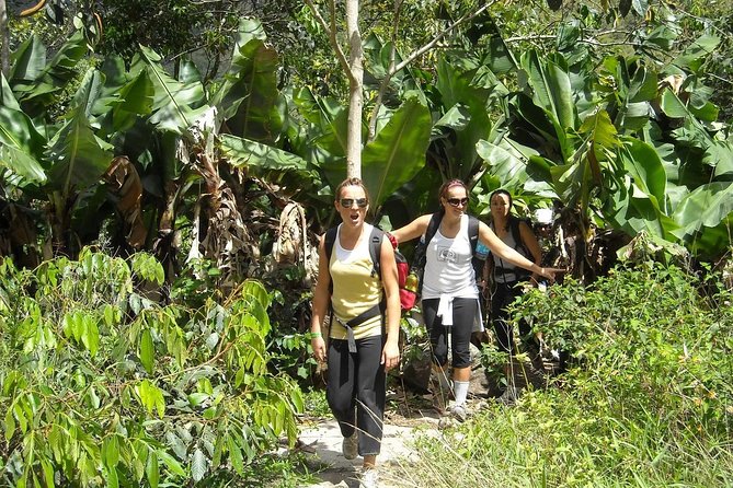 4 Days Inca Jungle to Machu Picchu Standard - Lodging, meals, and what to pack