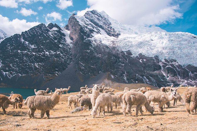 6 day Rainbow Mountain x Ausangate Trek - FlashpackerConnect - What the $1,050 price really covers