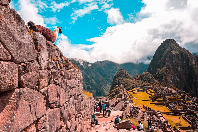 6-Day Tour of Cusco Magico-Machu Picchu-Rainbow Mountain - Day 3: Machu Picchu, the centerpiece