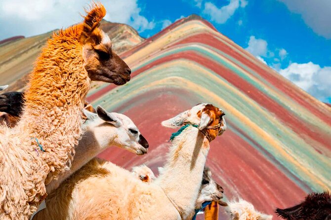 6-Day Tour of Cusco Magico-Machu Picchu-Rainbow Mountain - Practical details that affect your decision