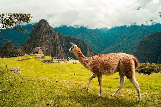 6-Day Tour of Cusco Magico-Machu Picchu-Rainbow Mountain - Day 2: Pisac, Urubamba, and Ollantaytambo
