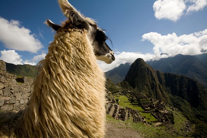 7 Day Peru Private Journey - Day 7: A simple departure