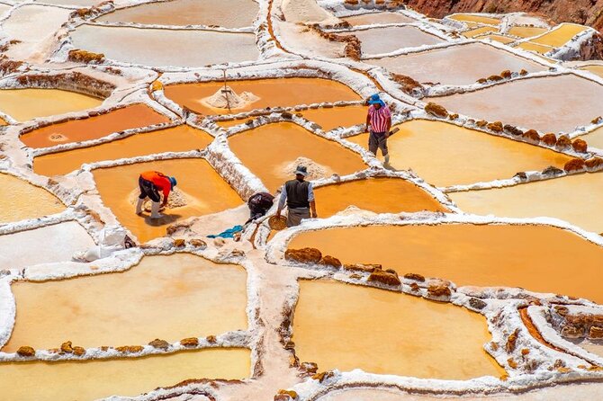 7 Days: Lima, Ica, Cusco & Machupicchu with local flights - Guides, group size, and organization