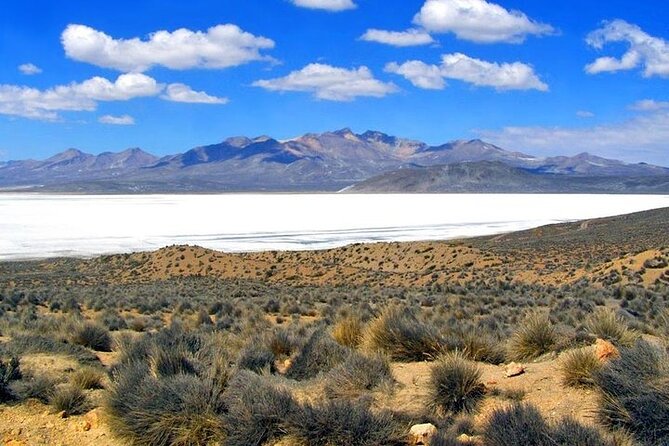 8-Hours Tour in Arequipa Laguna de Salinas with Pick-up - Four hours of driving through the reserve