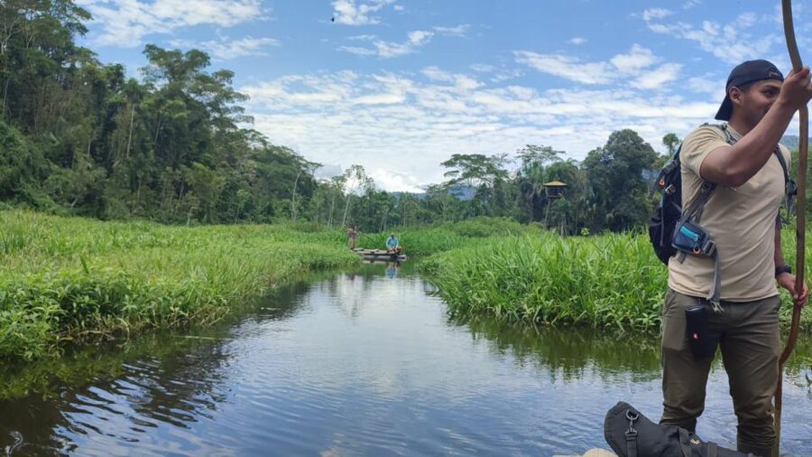 Amazonian Adventure 3 Days: Exploring the Jungle from Cusco - Day two on the Alto Madre de Dios River