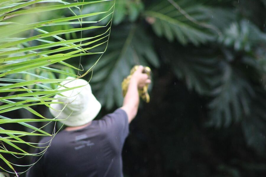 Amazonian Adventure 3 Days: Exploring the Jungle from Cusco - What the $429 price includes