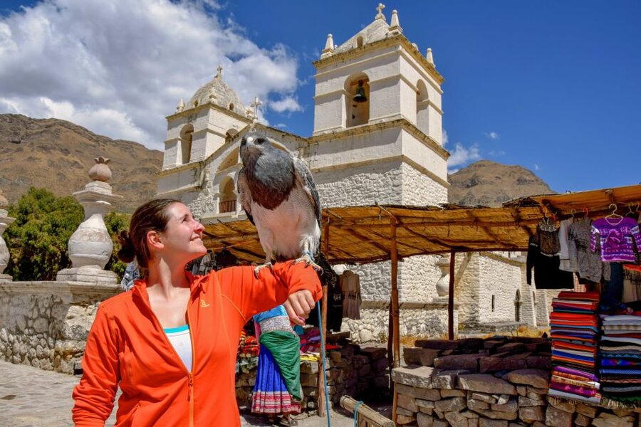 Andes: Colca Canyon Day-Trip - Key points to know before booking