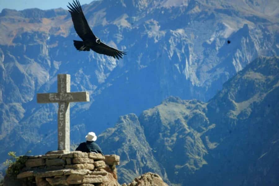 Arequipa: 1-Day Colca Canyon + Thermal Baths Tour - Why the condors make this day worthwhile