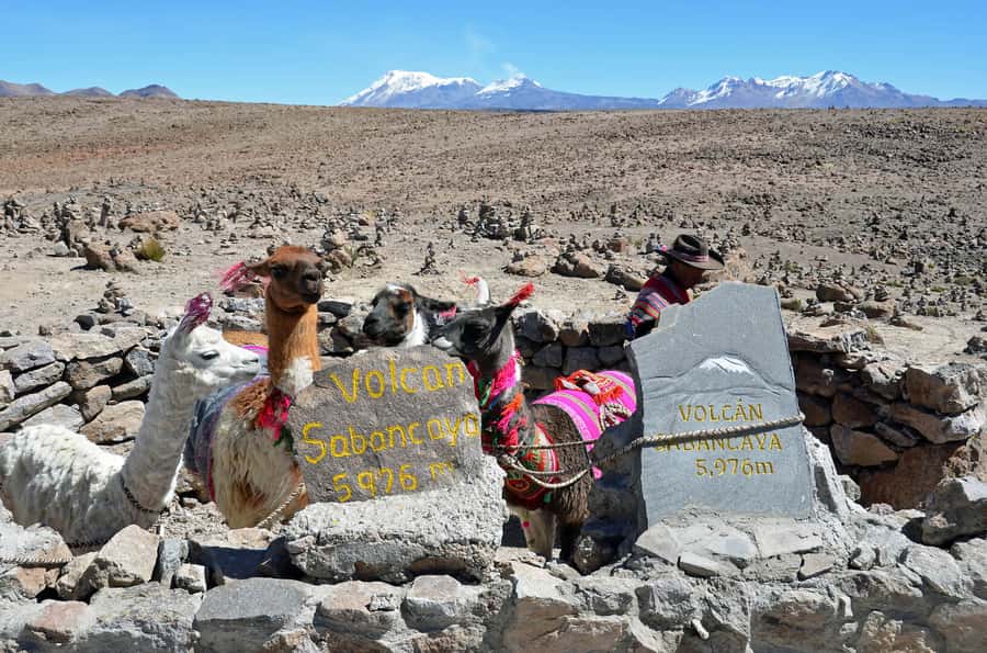 Arequipa: 2-Day Colca Canyon Classic Tour return to Arequipa - Choquetico and Antahuilque viewpoints