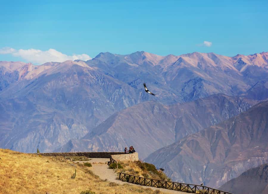 Arequipa: 2-Day Colca Canyon Classic Tour return to Arequipa - Day one, from Arequipa to the high pass