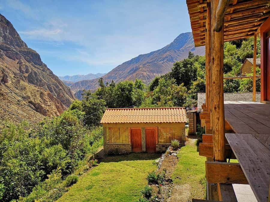 Arequipa: 2-day Colca Canyon Trekking, Ending in Puno - Cruz del Cóndor and the canyon rim