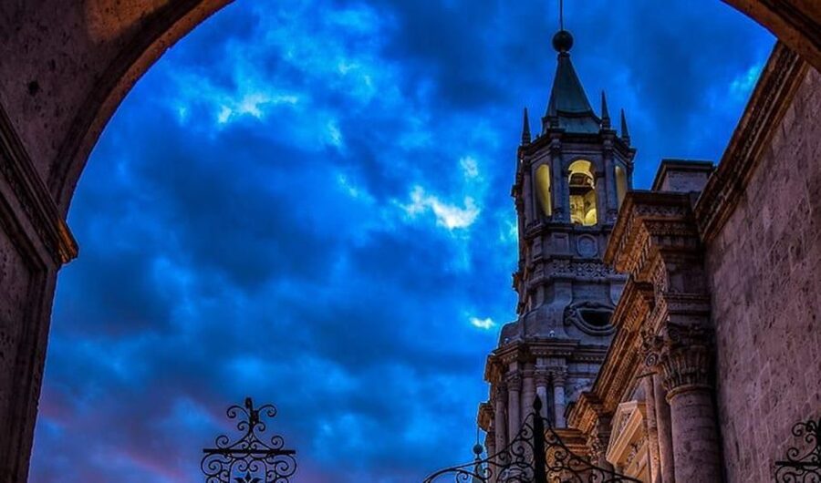 Arequipa: City and Country Tour - Incalpaca and the four South American camelids